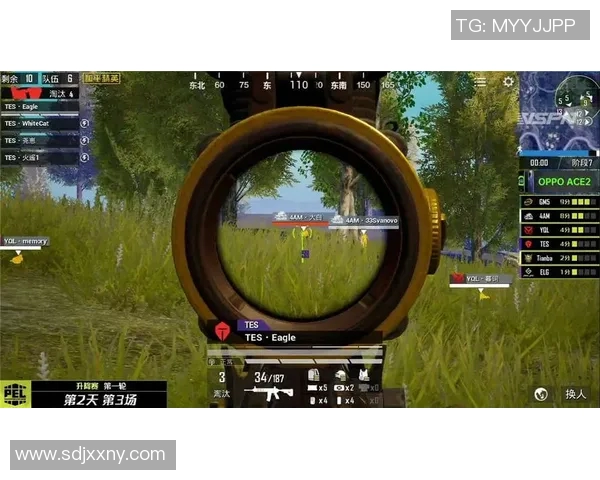 FPX在S15电竞总决赛和平精英速度排行榜中荣获第十名的精彩表现