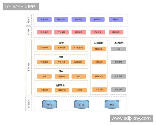 TES战术解析DOTA2总决赛进攻体系的关键策略与执行细节