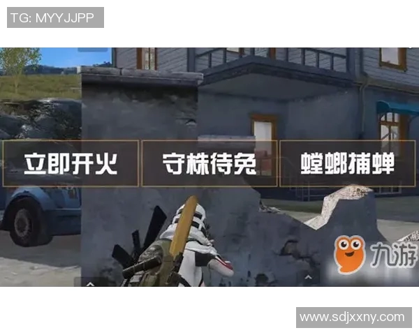 深入解析EDG战队的盯防策略与战术布局全景探秘