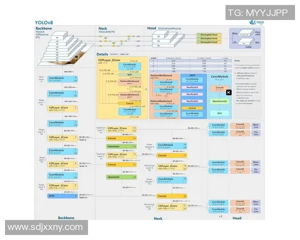 S15LOL比分王者荣耀专题深度解析IG团队协作的成功秘诀与策略实时数据