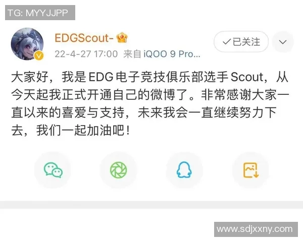 esports最新数据挑战者杯赛中EDG选手个人能力的深度分析与点评
